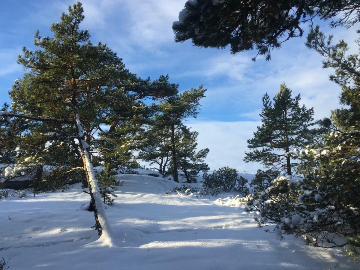 Villa Hoegbo Inio Bagian luar foto
